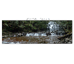 Liffey Falls Wallpaper